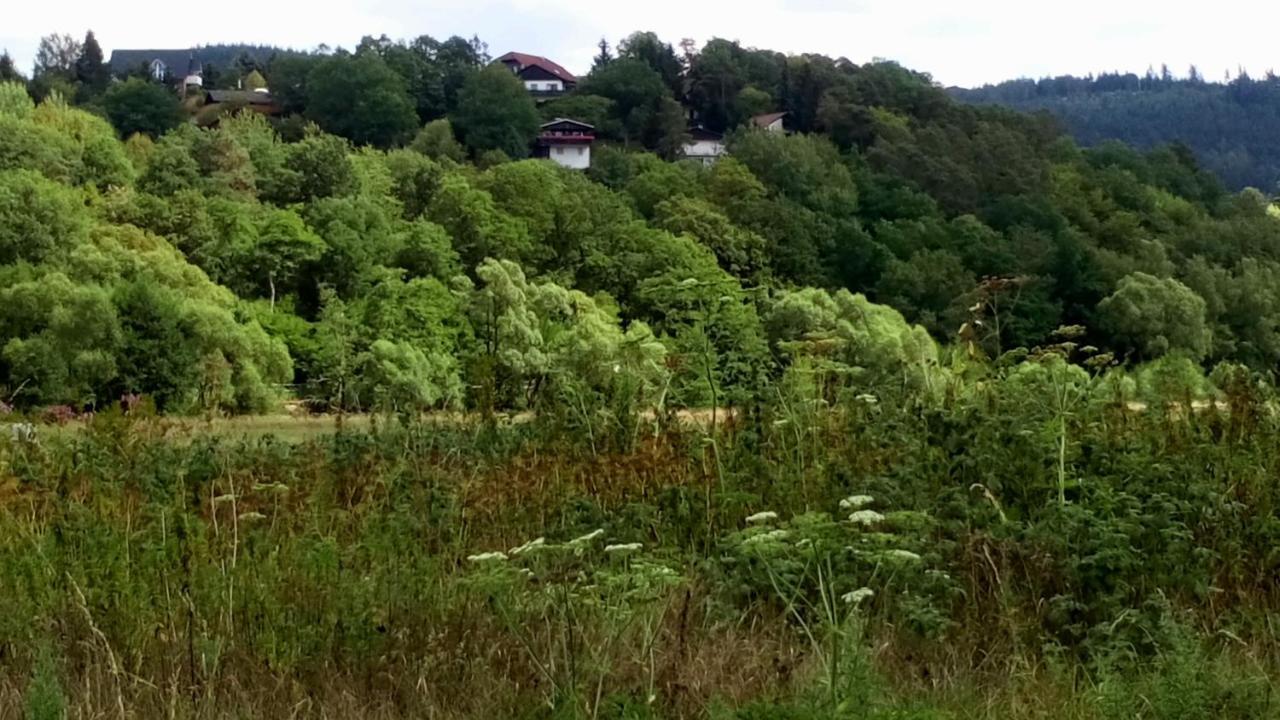Ferienhaus Im Ederbergland Hatzfeld Esterno foto