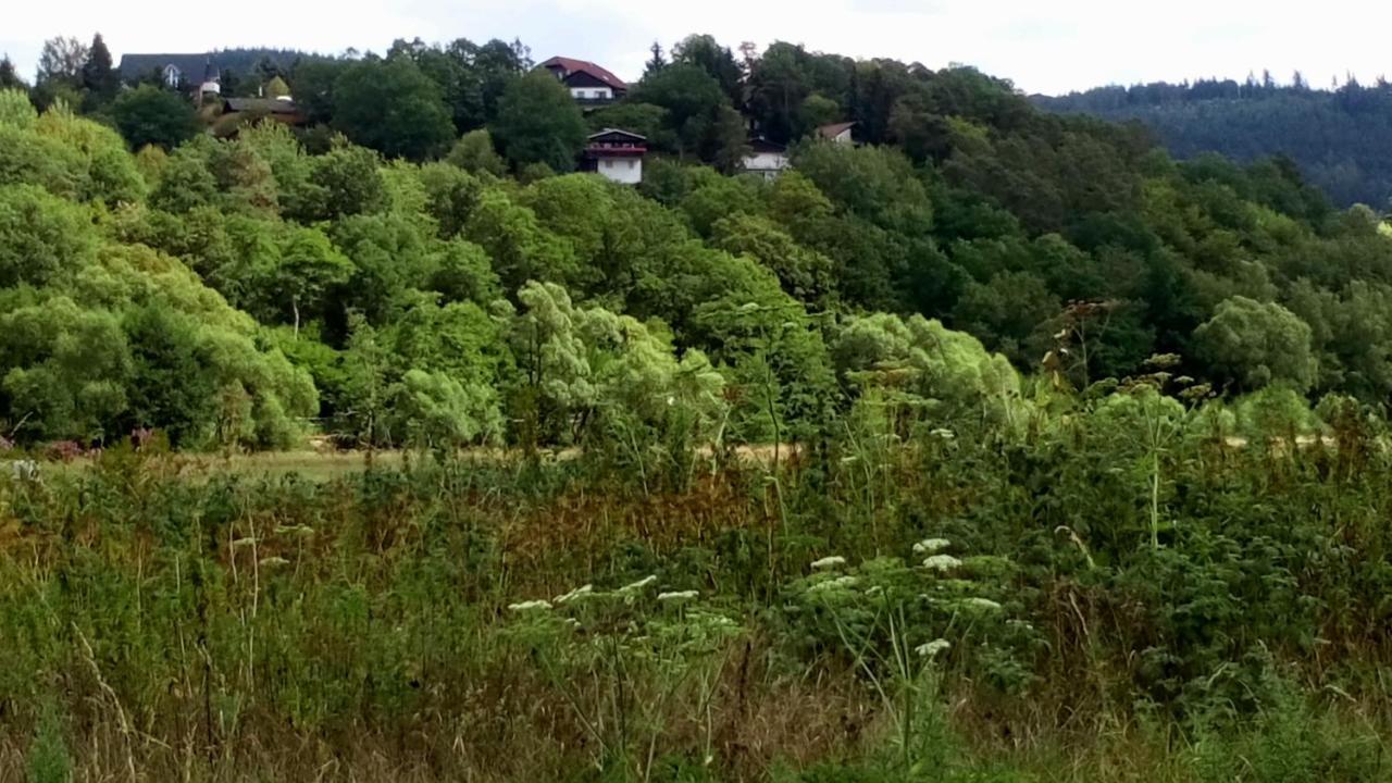 Ferienhaus Im Ederbergland Villa Hatzfeld Esterno foto